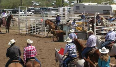 fiesta days rodeo