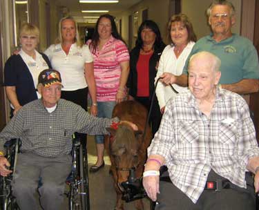 miniture horse visit Va hospital