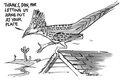 canfield roadrunner cartoon