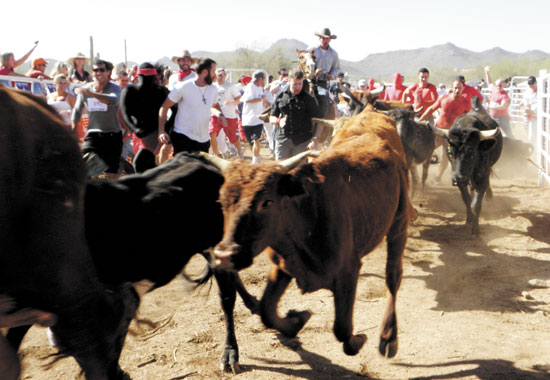 running of the bulls usa