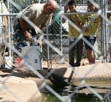 phoenix herpetological society