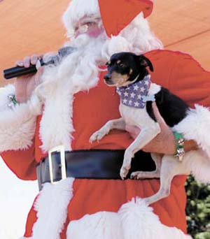 santa and dog