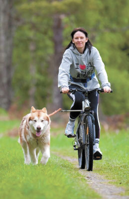 bike dog