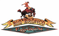 big bronco logo