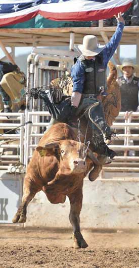 kaycee rose bull rider