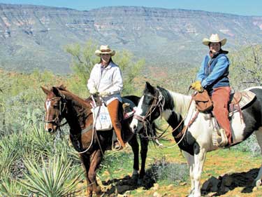 spur cross stables