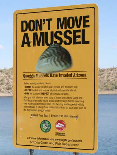 dont move a mussel sign