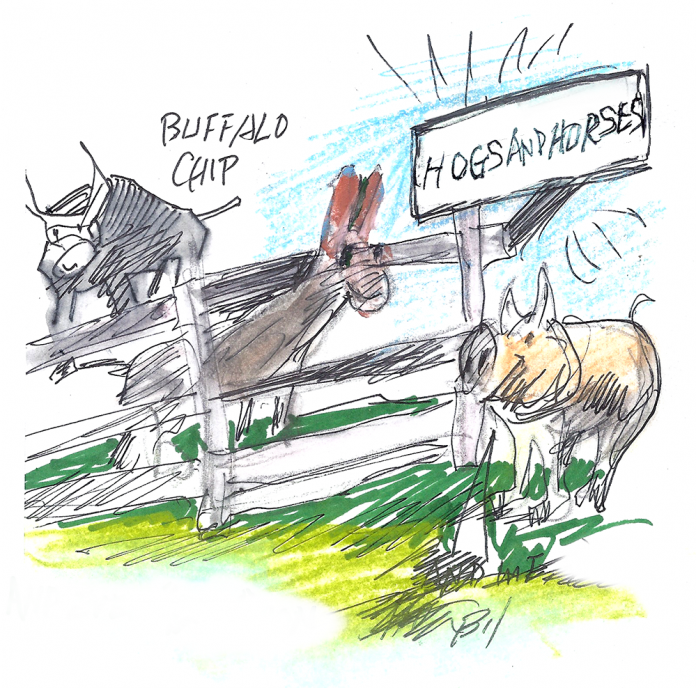 buffalo chips cartoon