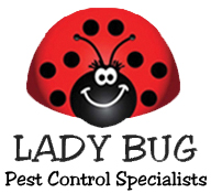 ladybug-Logo