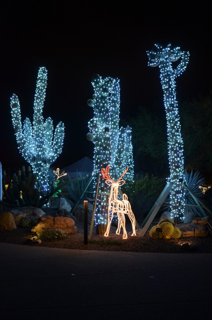 cactus lights