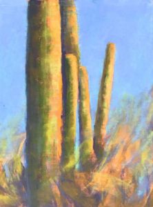 2nd place winner “Cactus Cluster” by Peggy Orbon